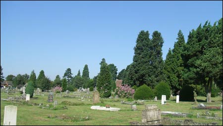 part of D section of the cemetery