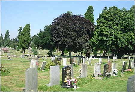 H Section and some of the trees planted when the cemetery was opened