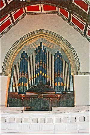 The organ pipes