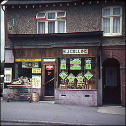 32 Purvis Road in 1966