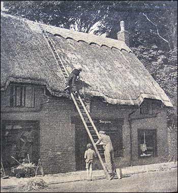 thatching in 1953
