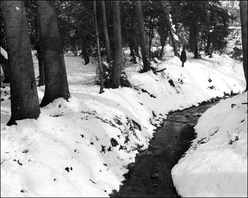 The old Sidney Brook in winter
