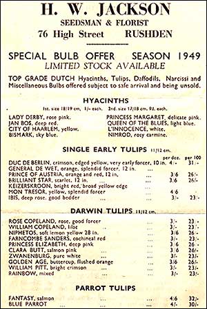 bulbs offered in 1949