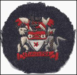 Offcier's cap badge