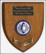 An individual special award