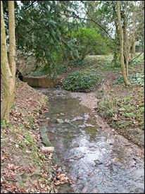 Picture of the Brook in Hall Park showing remaining paving