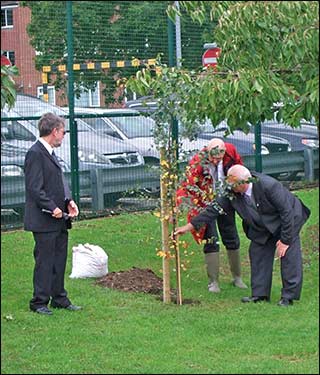 planting the tree