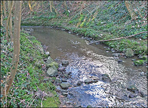 Picture of the brook at Washbrook today