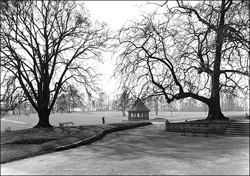 trees and bandstand