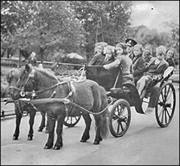Photograph of a trip in a pony carriage at Regents Park zoo