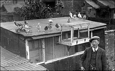 George Sail with his pigeons 
