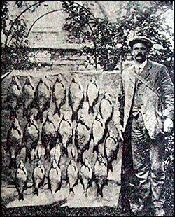 1914 catch