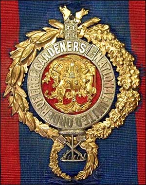The medallion on the large sash.