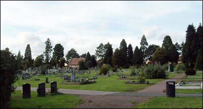 A view of the cemetery, large trees in the distance