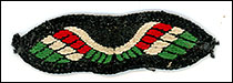 guides wings badge
