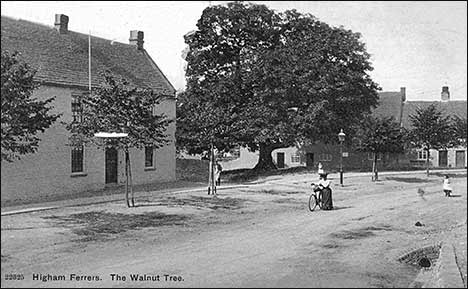 Postcard of the Walnut Tree 