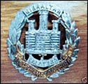 The Northamptons' badge