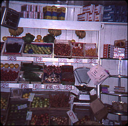 The greengrocery