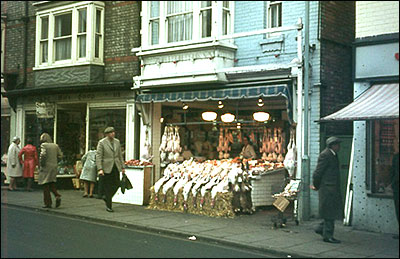 poultry display