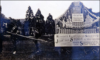 Float advertising varieties of tea