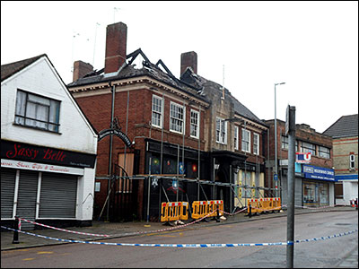Feathers after the fire