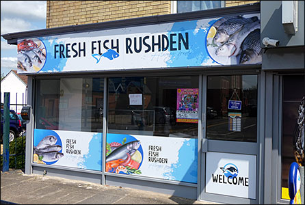 new shop