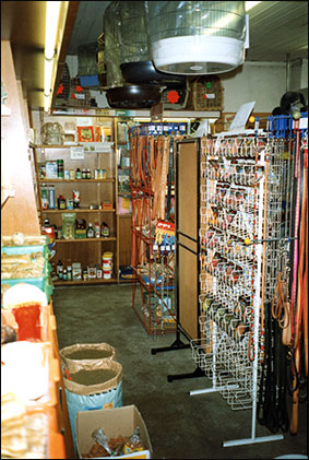 lots of choice