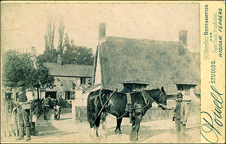 looking into the yard