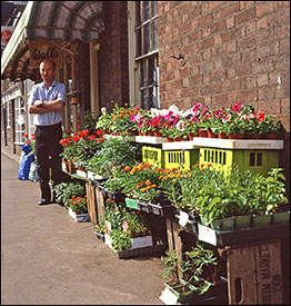 George judging vegetables