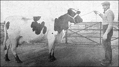 Bencroft &ldquo;Benefit&rdquo; 