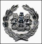 another badge