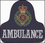 1982 breast badge