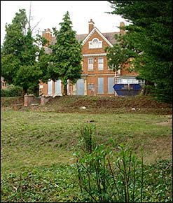 gardens and trees neglected