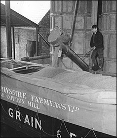 bulk grain