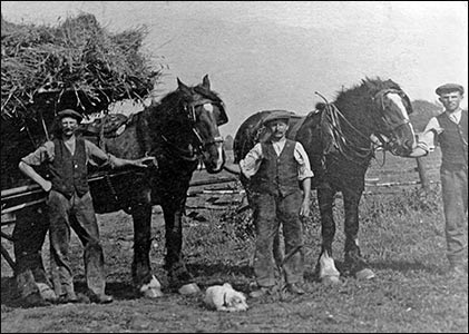 German Prisoners with Mr Holt