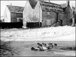 Some of the farm buildings