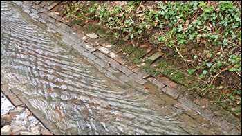 Photo showing the paving in the Town Brook in Hall Park still in existence today