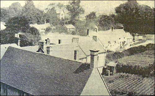 Newton Road c1898