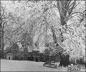 The Hall and grounds