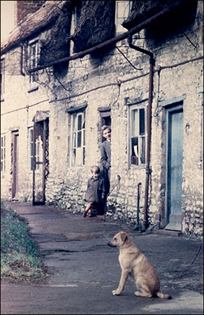 cottages