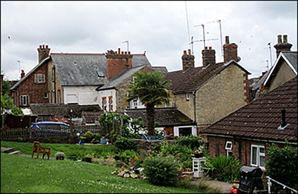 rear view of the row