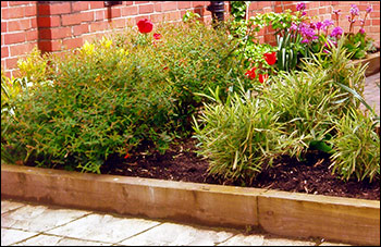 Memorial garden at Alfred Street School