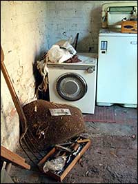 washer