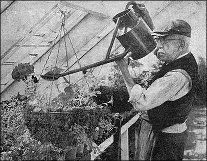 Mr Harry Pettit