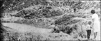 The pit