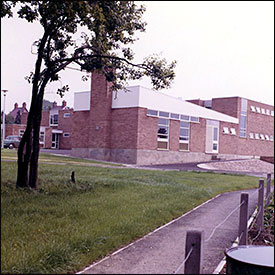 with grass and trees