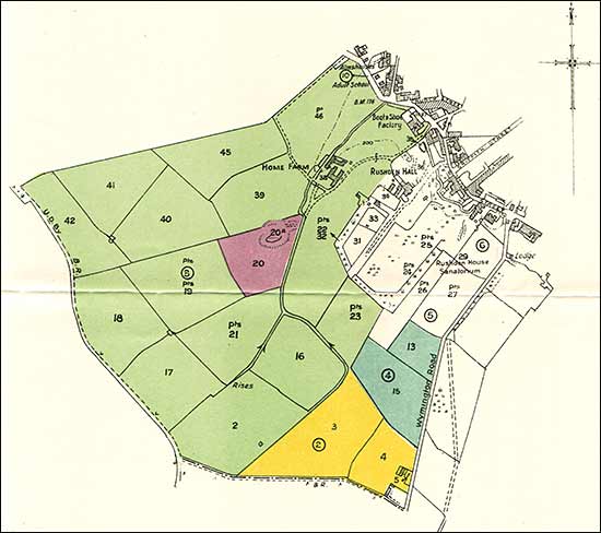 plan 1929