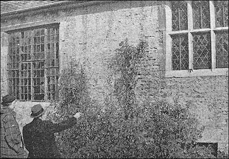 Looking at the damaged windows