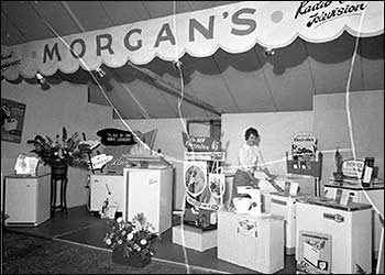 Morgans