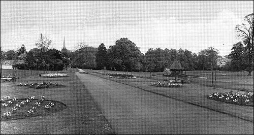 The flower beds